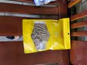 金唐茶树菇50g/袋 未开伞茶树蘑菇菌香浓郁盖嫩柄脆 火锅煲汤食材 实拍图
