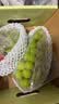 【整箱】阳光玫瑰青提1.5kg(单果8g起) 实拍图