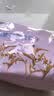 悠采中粮无糖山药薏米燕麦饼干750g糖尿病人中老年人无糖食品零食整箱 实拍图