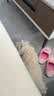 皇家狗粮幼犬奶糕幼犬狗粮宠物小型犬MIS30全价犬粮 ≤2月3KG 实拍图
