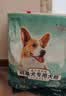 威尔逊馋嘴狗粮柯基犬专用狗粮中小型犬狗粮牛肉味天然粮 【经典款】混合鲜肉味 成犬30斤 实拍图