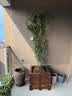 德沃多玫瑰月季专用植物营养土50L园艺绿植花土有机土壤花卉盆栽 实拍图