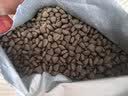 弗列加特猫粮 肠道养护 全价鲜肉天然粮 幼猫粮乳鸽味2kg【宠物金选】 实拍图