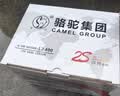 骆驼(CAMEL)汽车电瓶12V蓄电池L2-400(2S) 60AH 上门安装-以旧换新 适用于 大众POLO/宝来/捷达/朗逸/迈腾/途观 实拍图
