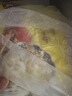 湾仔码头上汤小云吞三鲜600g75只馄饨夜宵速食冷冻食品儿童早餐速冻半成品 实拍图