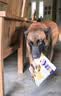 麦富迪狗狗零食 奢华营养鸡肉干1200g成幼犬磨牙训练奖励解馋宠物零食 实拍图