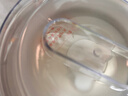 小熊酸奶机 家用酸奶机家用小型全自动酸奶发酵机微电脑定时自制夏天必备304不锈钢内胆炒酸奶发酵菌 【三档酸度+304内胆】SNJ-C10H1 实拍图