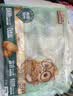 三只松鼠手剥巴旦木500g/袋装坚果炒货干果扁核桃杏仁零食送礼 实拍图