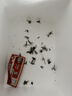 京鲜生内蒙古红黄双拼花生番茄净重3斤单果5g+皮脆香甜圣女果源头直发 实拍图
