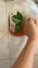 滴露（Dettol）消毒液衣物消毒水1.8L*2 洗衣除菌家居除螨杀菌 灭活HPV16病毒 实拍图