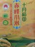十月稻田 赤峰小米 5斤 内蒙古敖汉 小米黄小米 杂粮米 粗粮 早餐小米粥 实拍图