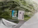 有机西芹400g 实拍图