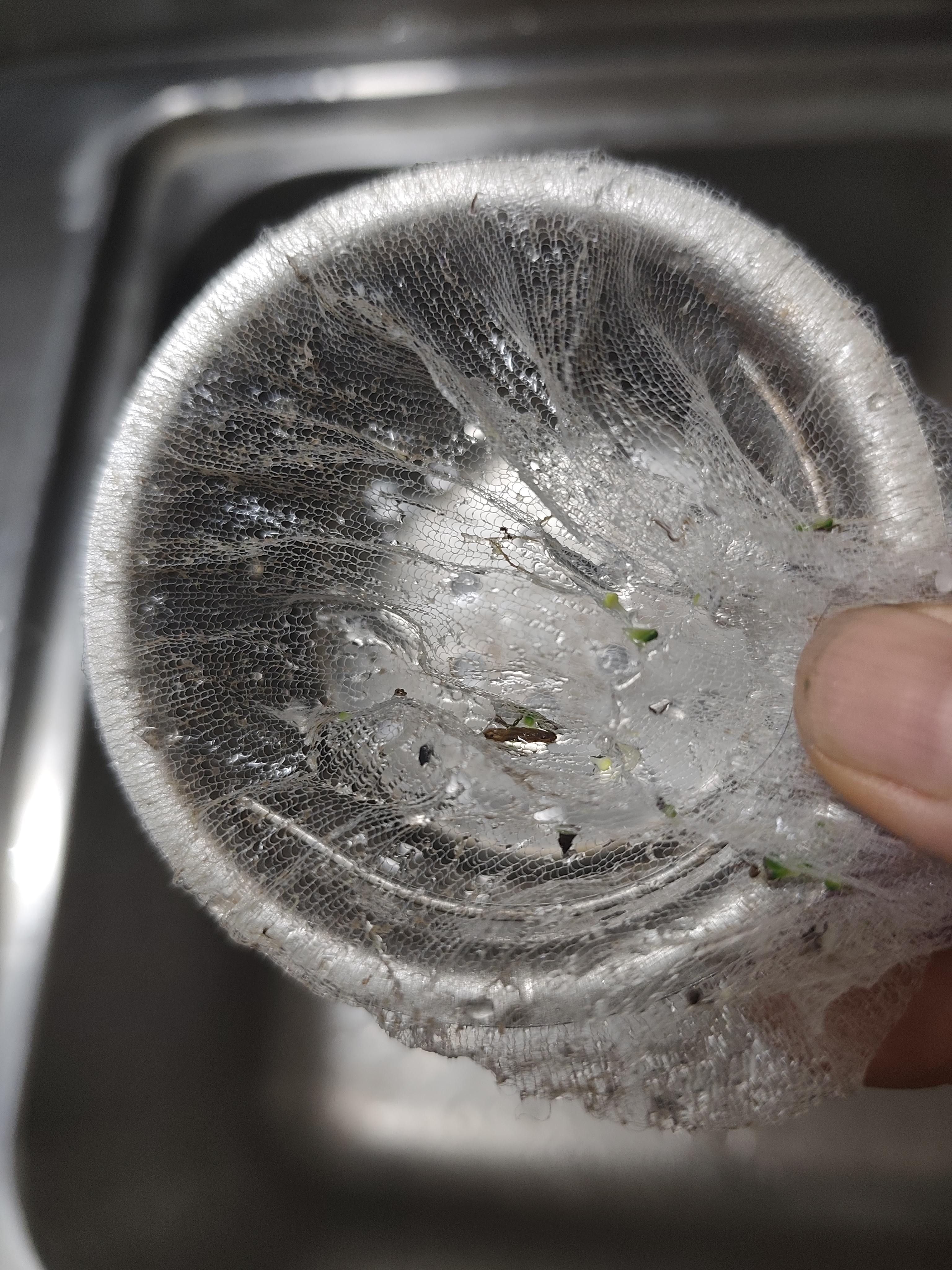 Jidaocook一次性水槽过滤网厨房洗菜盆下水防堵提篮网兜洗碗池饭菜残渣滤网 带抽取盒【500只】一次性过滤网 实拍图