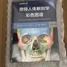 【系解版】奈特人体解剖学彩色图谱：系统解剖学（第8版）全新版本 英汉双语 人民卫生出版社 实拍图