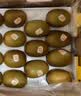 佳沛（zespri）新西兰阳光金果10个装单果重约103-114g 水果礼盒 猕猴桃 实拍图