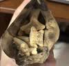 乐天小熊饼干泰国进口学生儿童零食夹心小饼干草莓味195克 独立包装 实拍图