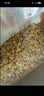 喜帅文鸟玉鸟专用无壳粮鹦鹉粮食珍珠灰文鸟食雀鸟饲料700g  实拍图