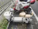 雅迪大圣电动车 小灵龙 新新国标可上牌48v铅酸大电池时尚成人小型女生电动自行车 灰色 48V21A铅酸 实拍图