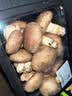 带根鲜香菇约300g 实拍图