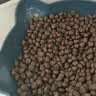 网易严选全价冻干双拼紫金烘焙猫粮 成幼猫高鲜肉【囤货装】1.5kg*4袋 实拍图