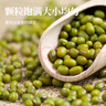 汾都香农家当季新绿豆精品绿豆五谷杂粮精品小绿豆笨绿豆绿豆粥 精品新绿豆5斤装 实拍图