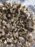 塞上天香 绿萼梅花茶绿鄂梅特级正品中药材白梅花干花和玫瑰花绿颚梅 (2罐)白梅花(共200克) 实拍图