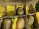 佳沛（zespri）新西兰阳光金果10个装单果重约103-114g 水果礼盒 猕猴桃 实拍图