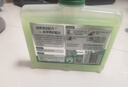 水卫士洗碗机专用机体清洁剂 去油污水垢清洁养护洗碗机耗材水卫仕250ml 实拍图