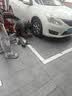 朝阳轮胎 汽车轮胎 195/60R16 89V C66 适配轩逸/海豚/骐达/启辰D6 实拍图