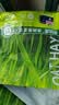 源物派黄金澳麦草澳州燕麦草进口晒干草兔子送礼食用干草500g 实拍图