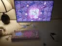 雷蛇（Razer）帝王蝶专业版玻璃鼠标垫 电竞游戏 光学传感器优化 顺滑表面 2微米微蚀刻 fps 白色500x400x1.9mm 实拍图