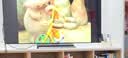 LGC6电视42/48/55/65/77/83英寸OLED超高清4K全面屏高刷显示器VRR165Hz 低延迟C5升级旗舰机26年新品 55英寸 2026年新品 OLED55C6PCA 实拍图