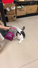 麦富迪猫粮 超肉粒冻干双拼成猫粮美毛护肠三文鱼10kg/20斤【宠物金选】 实拍图