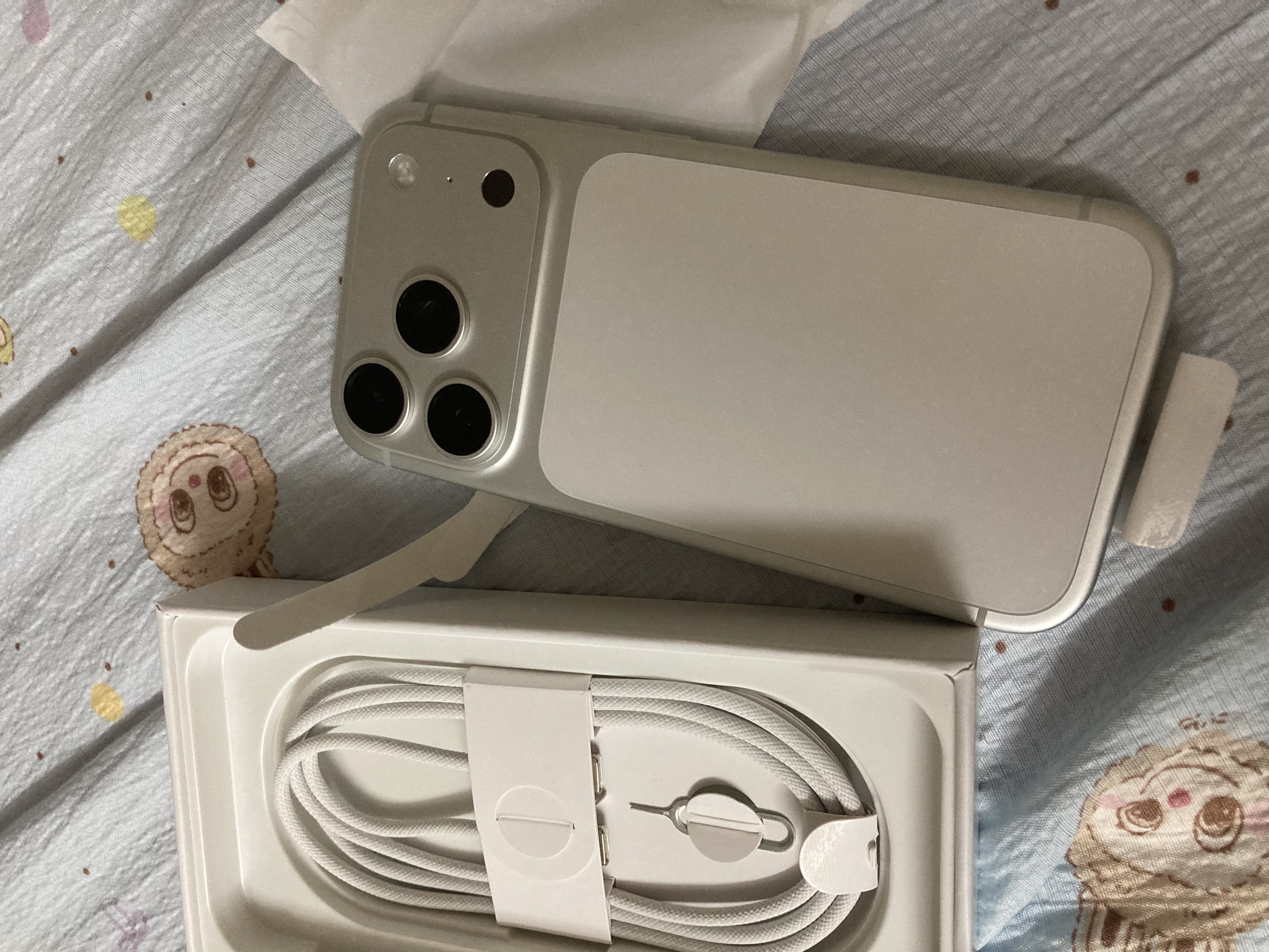 苹果 【官方正品】iphone17pro 苹果手机17pro iphone17 手机Apple 全网通5G手机 苹果17 苹果17pro 银色 512G【全网通+配件大礼包】 【正品保证 京东包邮】 实拍图