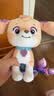 汪汪队立大功（PAW PATROL）毛绒玩具陪睡玩偶经典款珊瑚中号坐姿公仔男女孩儿童生日礼物 实拍图