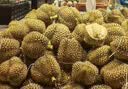 京鲜生 进口金枕头鲜榴莲 净重4-5斤 1个装 新鲜榴莲 水果教师节送礼 实拍图