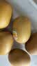 佳沛（zespri）新西兰阳光金果10个装单果重约103-114g 水果礼盒 猕猴桃 实拍图