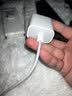 Apple/苹果 原装正品20W type-c充电器 苹果usb-c充电器手机快充头 旗舰店苹果iPhone 17 Pro Max充电器 实拍图