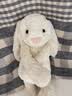 Jellycat害羞乳白色邦尼兔动物毛绒玩偶安抚玩偶娃娃送礼生日礼物 害羞乳白色邦尼兔 Medium 实拍图