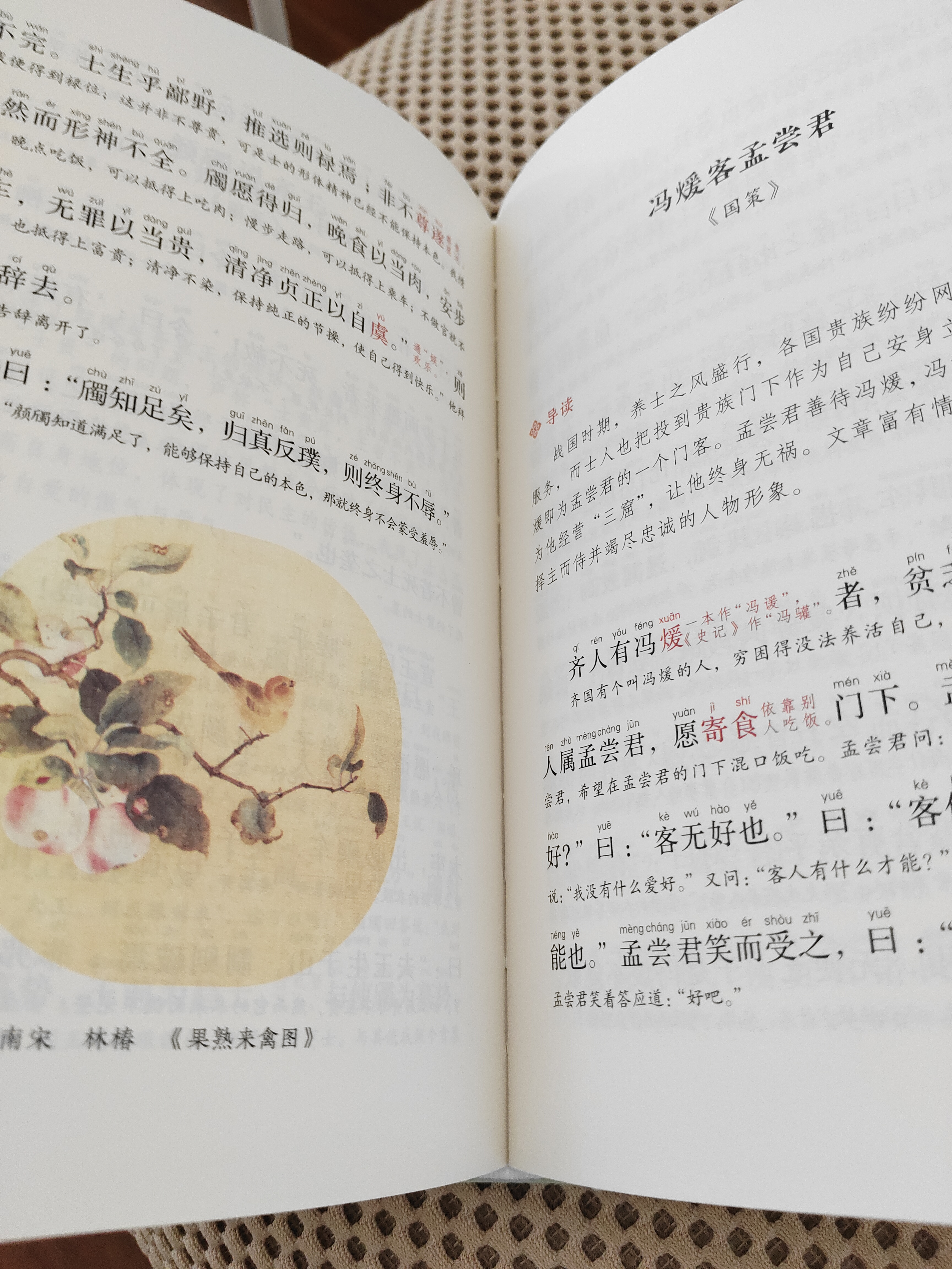 古文观止（全本全注全译全注音本） 实拍图