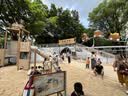 三彩【六好凉感西装】2026夏季新款宽松七分袖西服外套通勤气质开衫Z 实拍图