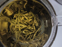 乐品乐茶毛尖茶叶特级明前春茶嫩芽2026新茶礼盒装250g冷泡茶绿茶自己喝 实拍图