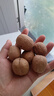楼兰蜜语薄皮大核桃500g/袋*2 新疆纸皮核桃新货 新二核桃零食坚果炒货 实拍图