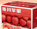 正宗红富士丑苹果脆爽多汁应季红富士苹果新鲜苹果多仓混发 陕西洛川带箱9斤净重8斤75mm 实拍图