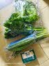 【水果菜】东北旱黄瓜约550g 实拍图