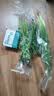 带根香菜100g 实拍图