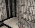 憨憨宠猫笼折叠猫笼子大号猫别墅加粗加密双层猫舍猫窝宠物猫咪用品家用 黑色 600双层 实拍图