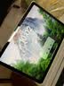 倍思适用iPad Air 11英寸 2026年款钢化膜iPad膜【2026升级·全屏覆盖】通用iPad Air8/7/6平板保护膜 实拍图