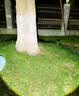 天火手电筒苍龙二代强光超亮变焦远射超长续航充电军户外野外生存专用 实拍图