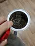 吴裕泰茉莉花茶叶 茉莉云芽浓香型特种150g八窨高芽鲜醇罐装教师节送礼 实拍图